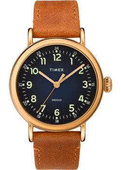 Часы Timex Standard TW2T20000VN