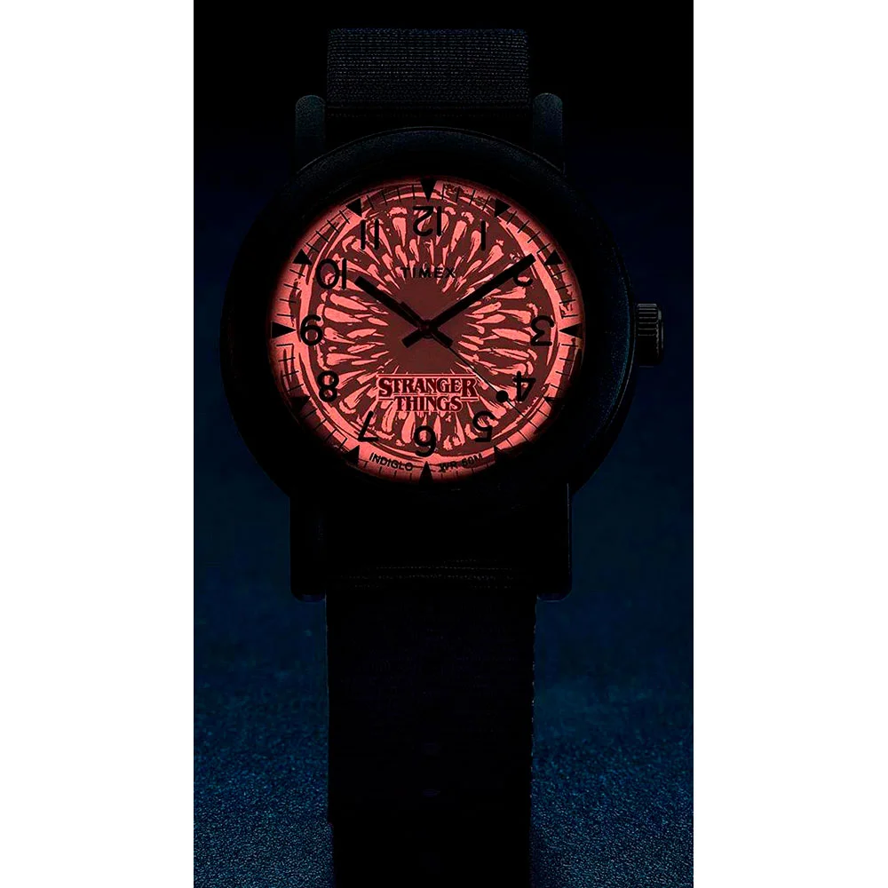 timex TW2V50800