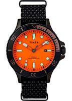 Timex Allied Coastline TW2T30200VN