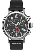 Timex Standard TW2T69100VN