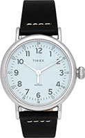 Timex Standard TW2T69200VN