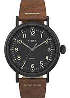 Timex Standard TW2T69300VN