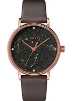 Timex Celestial Opulence TW2T87700YL