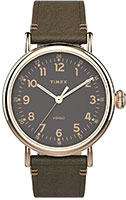 Timex Standard TW2U03900