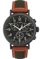 Timex Standard TW2U58000YL