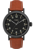 Timex Standard TW2U58600YL