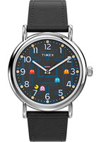 Timex Weekender TW2V06100