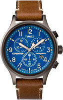 Timex Expedition TW4B09000