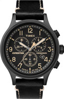 Timex Expedition TW4B09100