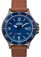 Timex Expedition Ranger TW4B10700RY